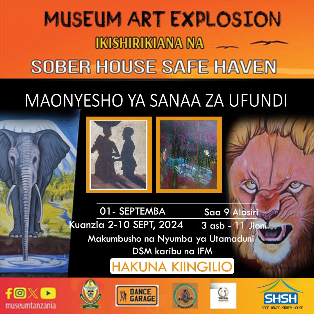museum art explosion